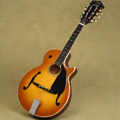 Morgan Monroe MM-25A Mandolin