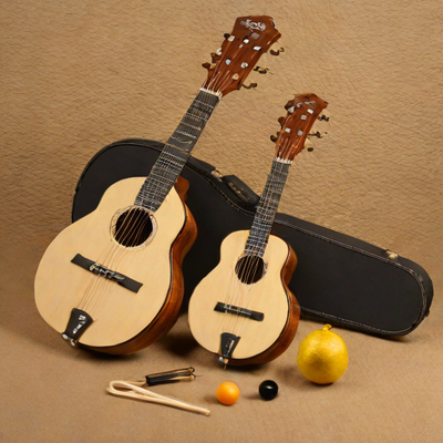 Myaudio Mandolin Set