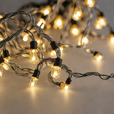 Mr. Power Battery Operated LED String Lights