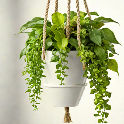 Mr. Stacky Hanging Planter