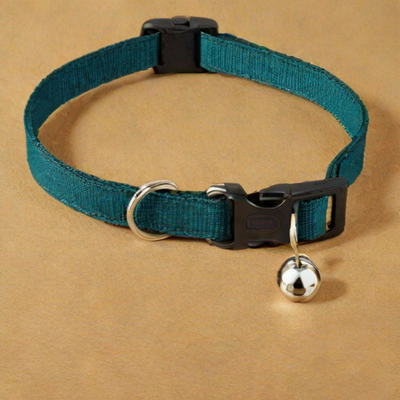 PetSafe Nylon Dog Collar