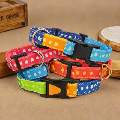 PAWZ Road Dog Collar