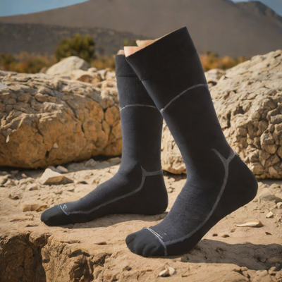 Ridge Merino Solar Performance