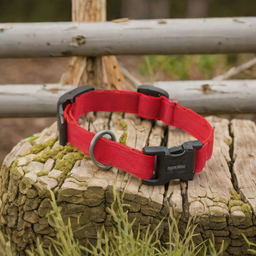 Ruffwear Webbing Collar