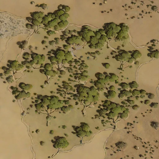 Stella Bushveld