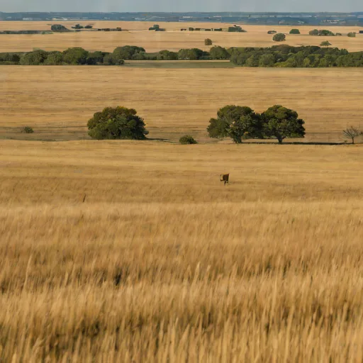 Taberville Prairie
