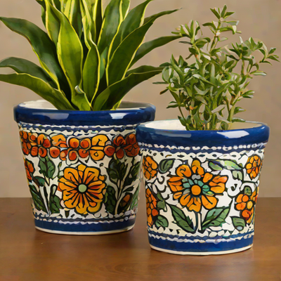 Talavera Ceramic Planter