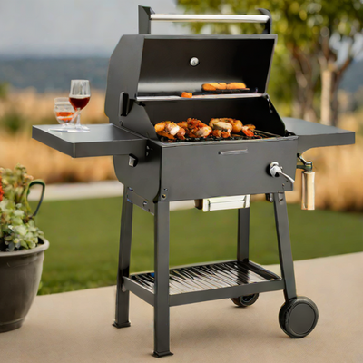 Traeger Pro 575 Charcoal Grill