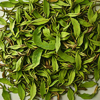 Veridian Tea Dragon Well