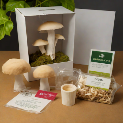 West Coast Woods Oyster Mushroom Kit