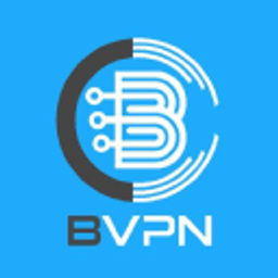 B.VPN