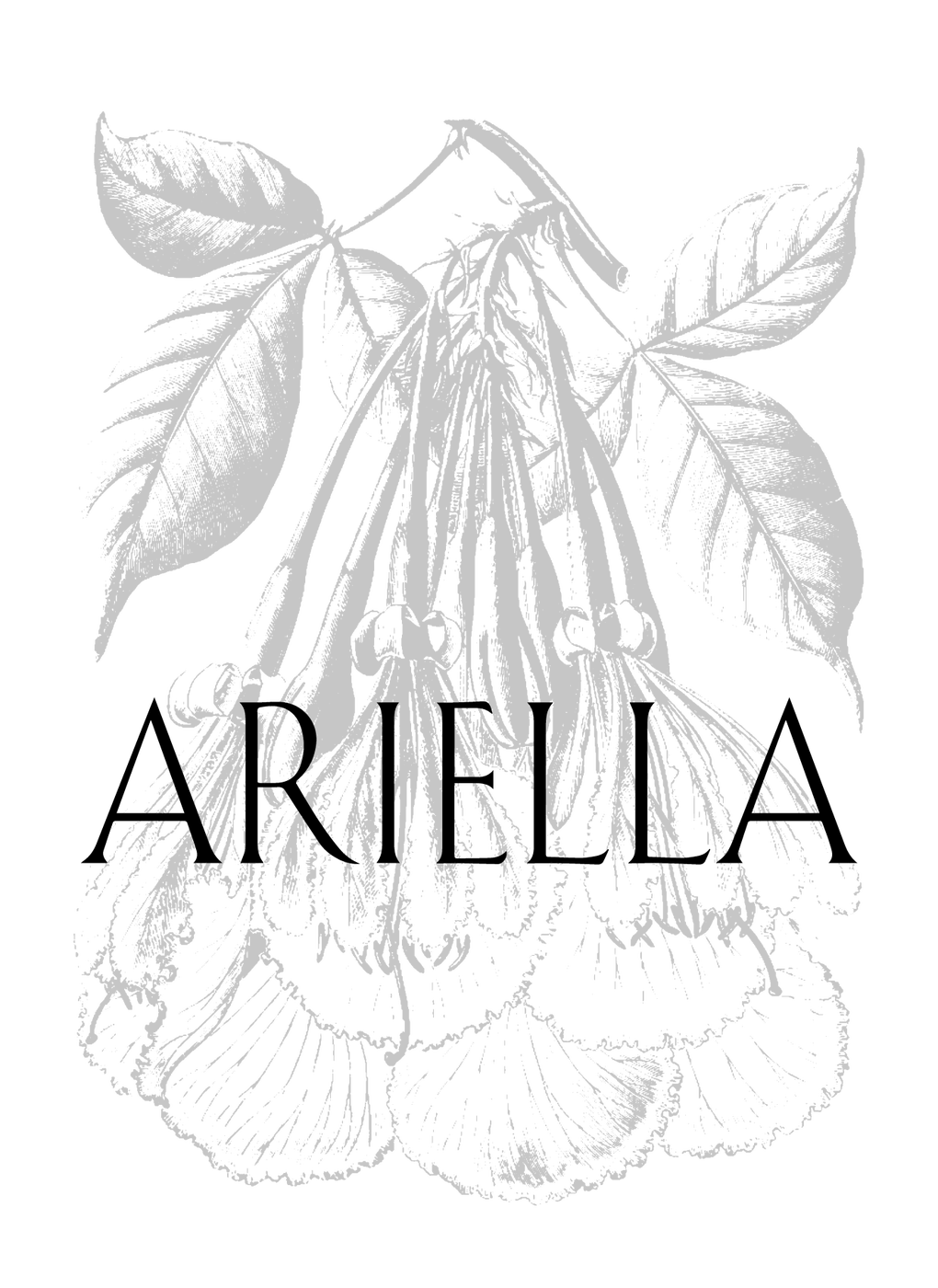 Ariella Chezar Studio