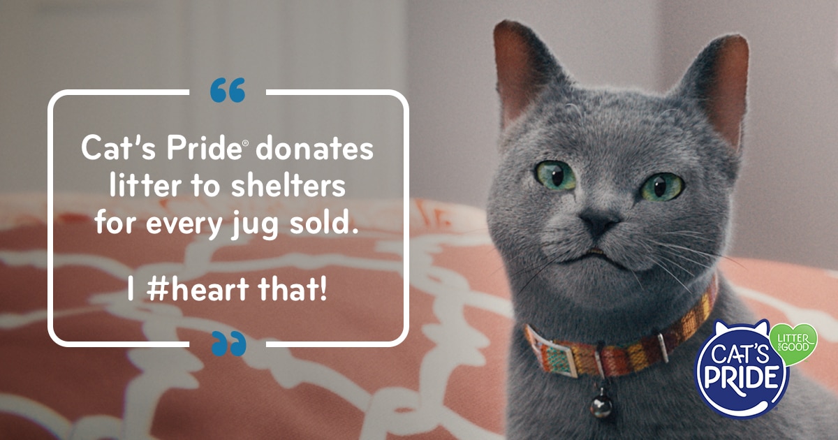 Cat's Pride Total Odor Control