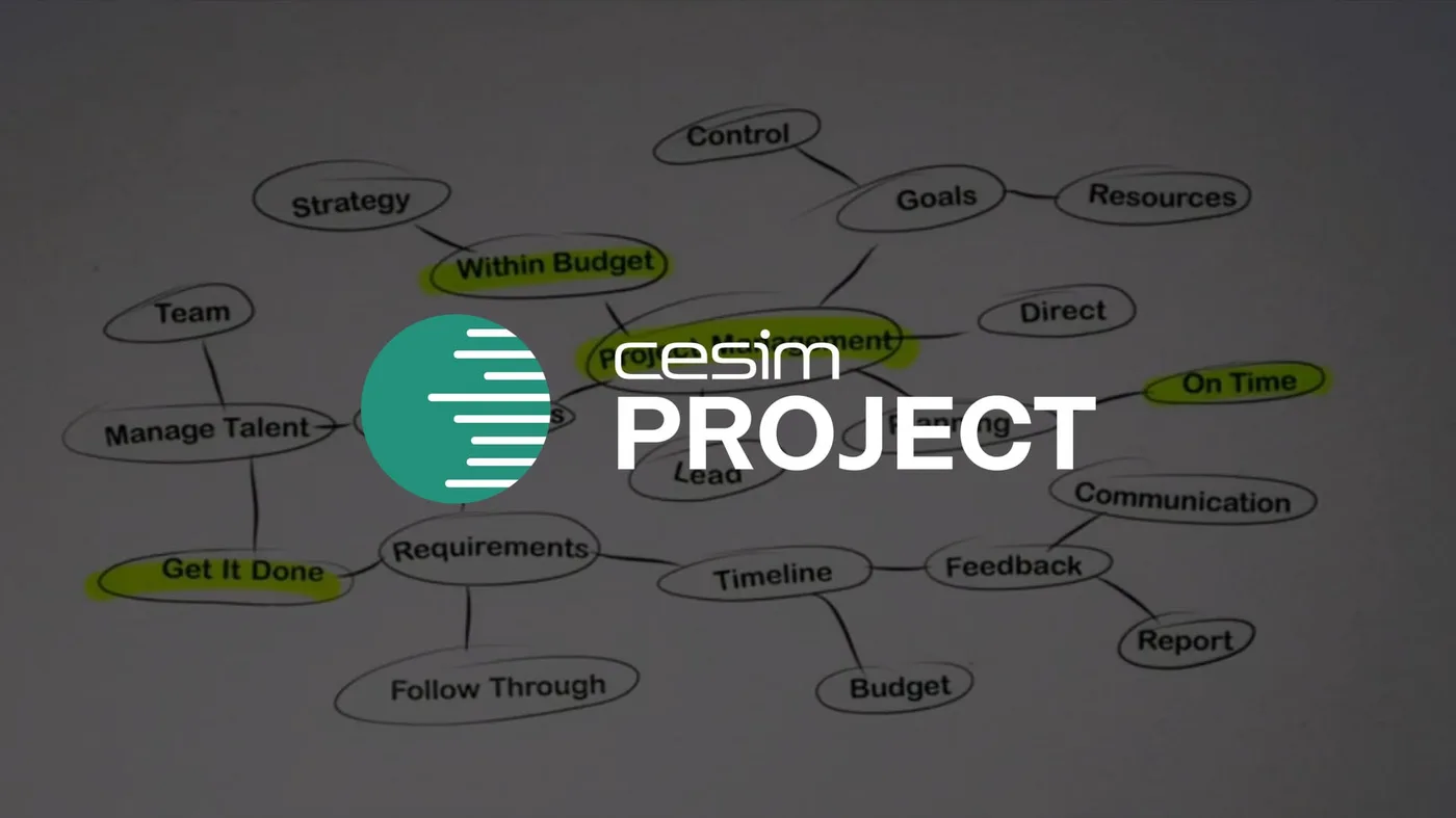 Cesim Project