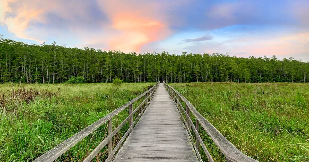 Corkscrew Swamp Sanctuary