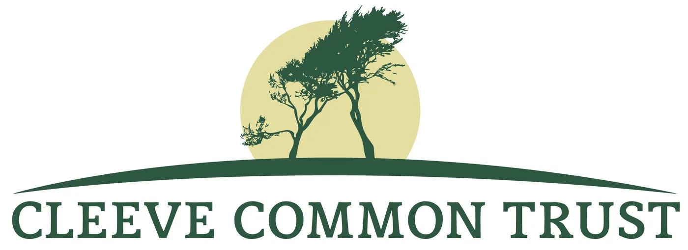Cleeve Common