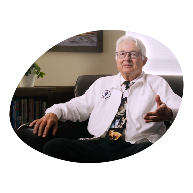 Dr. Elsey's Ultra Premium Clumping Cat Litter