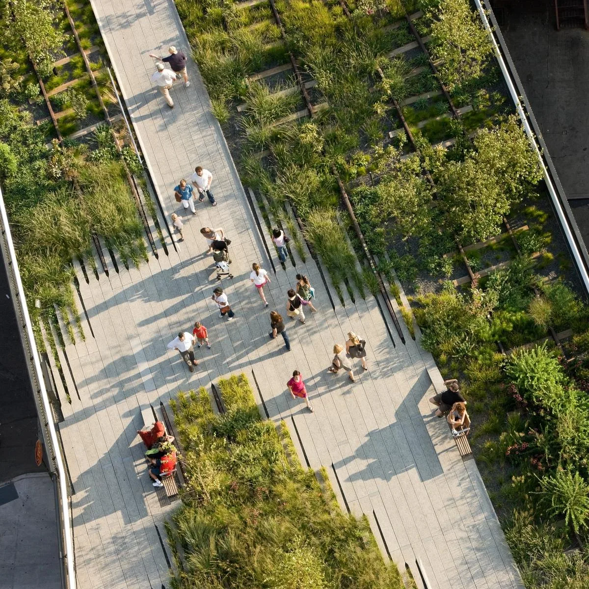Diller Scofidio + Renfro