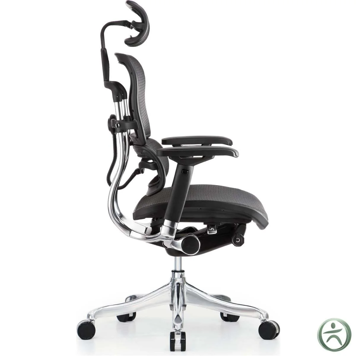 Ergohuman Chair