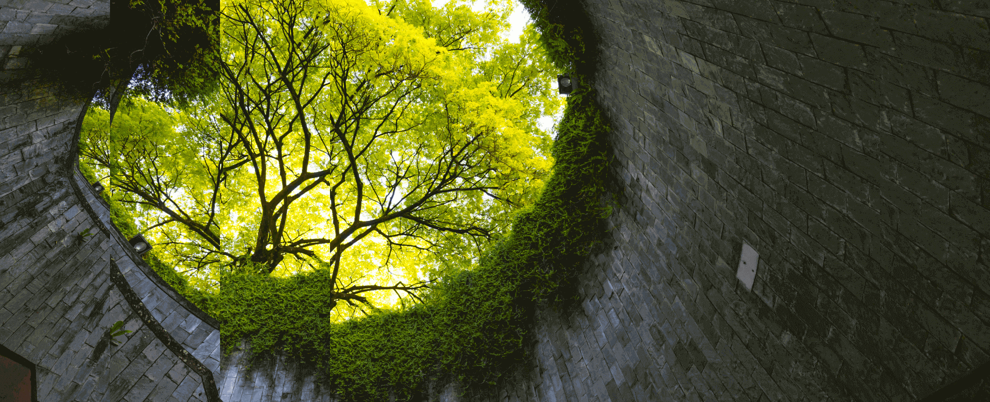 Ellen MacArthur Foundation Guide to Circularity