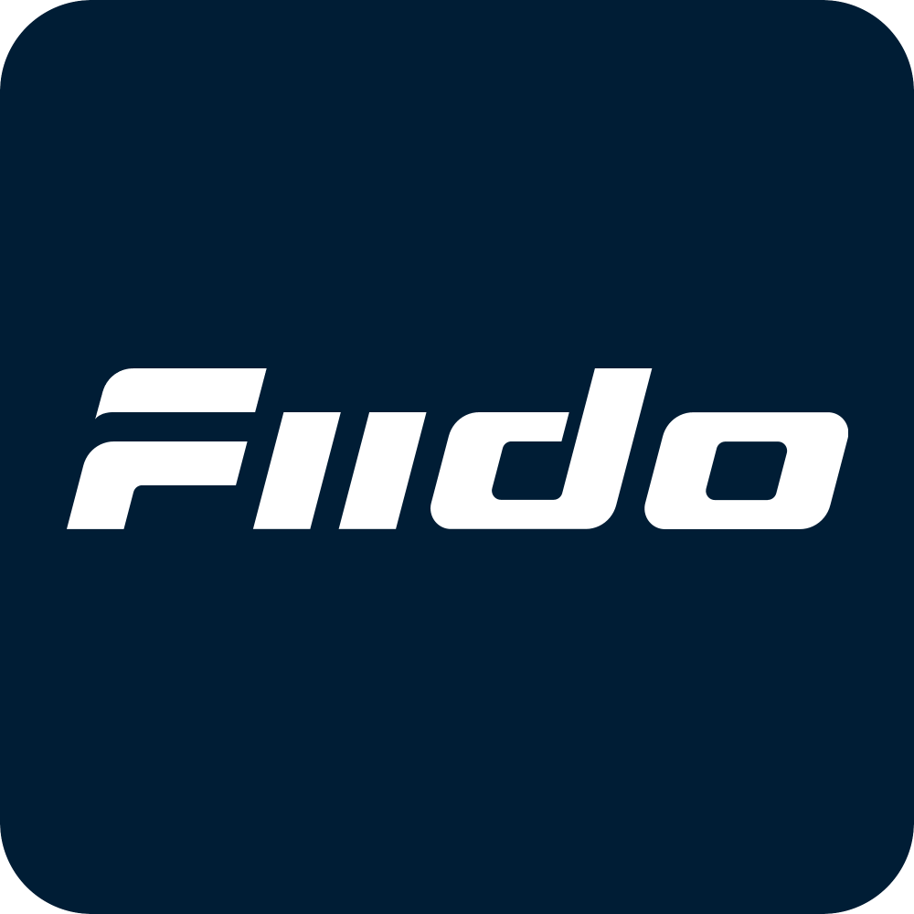 Fiido D11