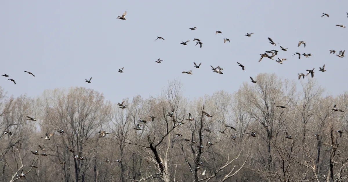 Flint Hills National Wildlife Refuge