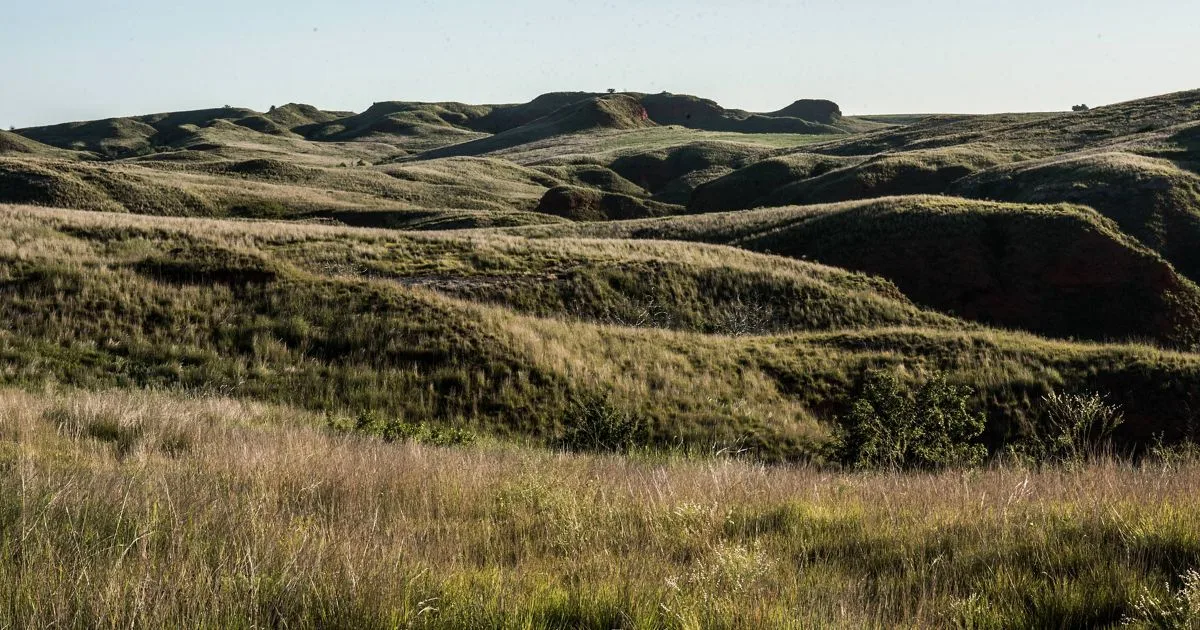 Four Canyon Preserve