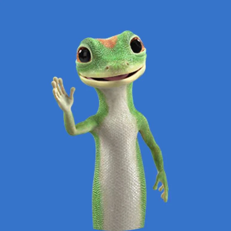 GEICO