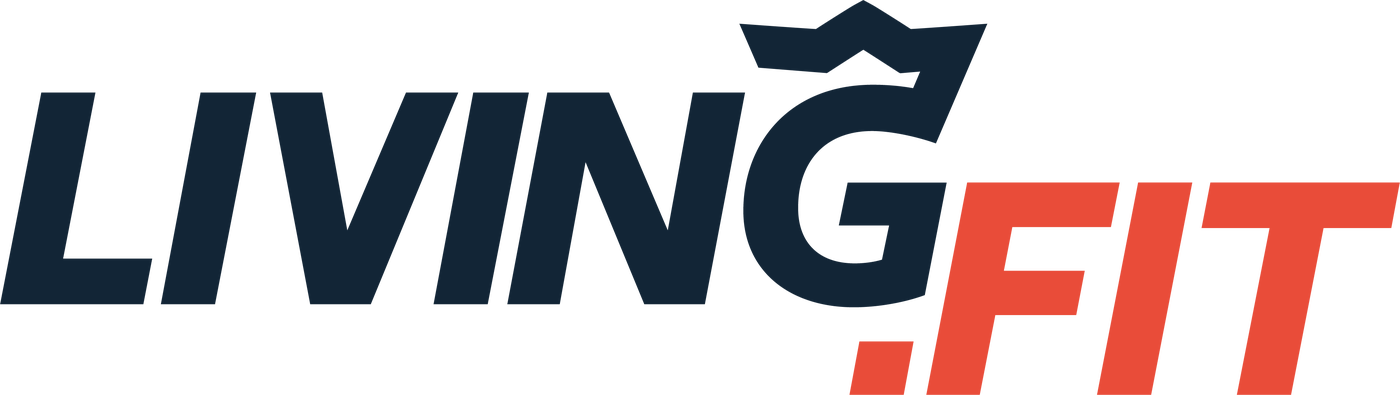Living.Fit Wall Ball