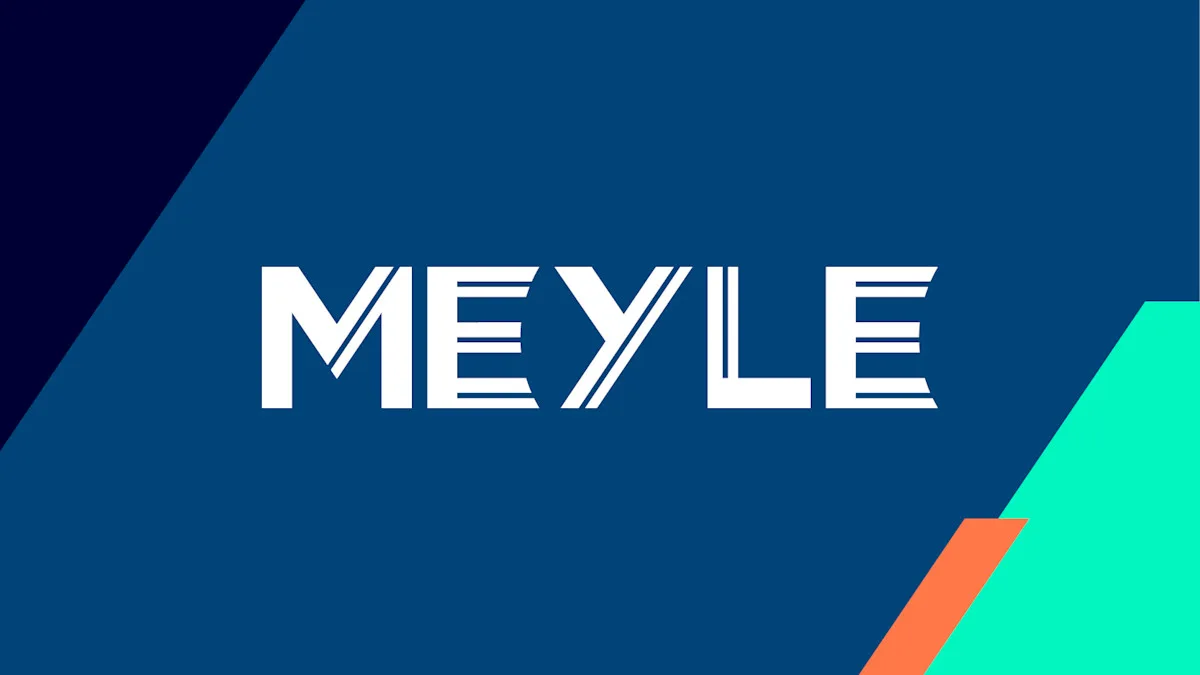 Meyle Coil Springs