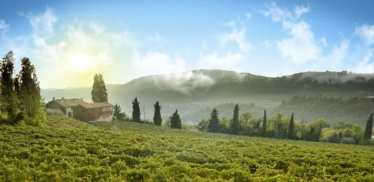 Masi Costasera Amarone della Valpolicella Classico