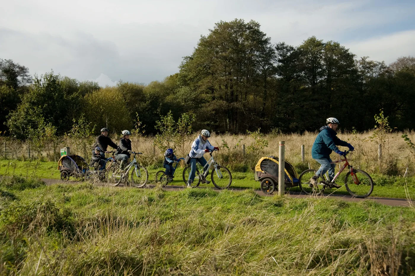 Moors Valley Country Park and Forest