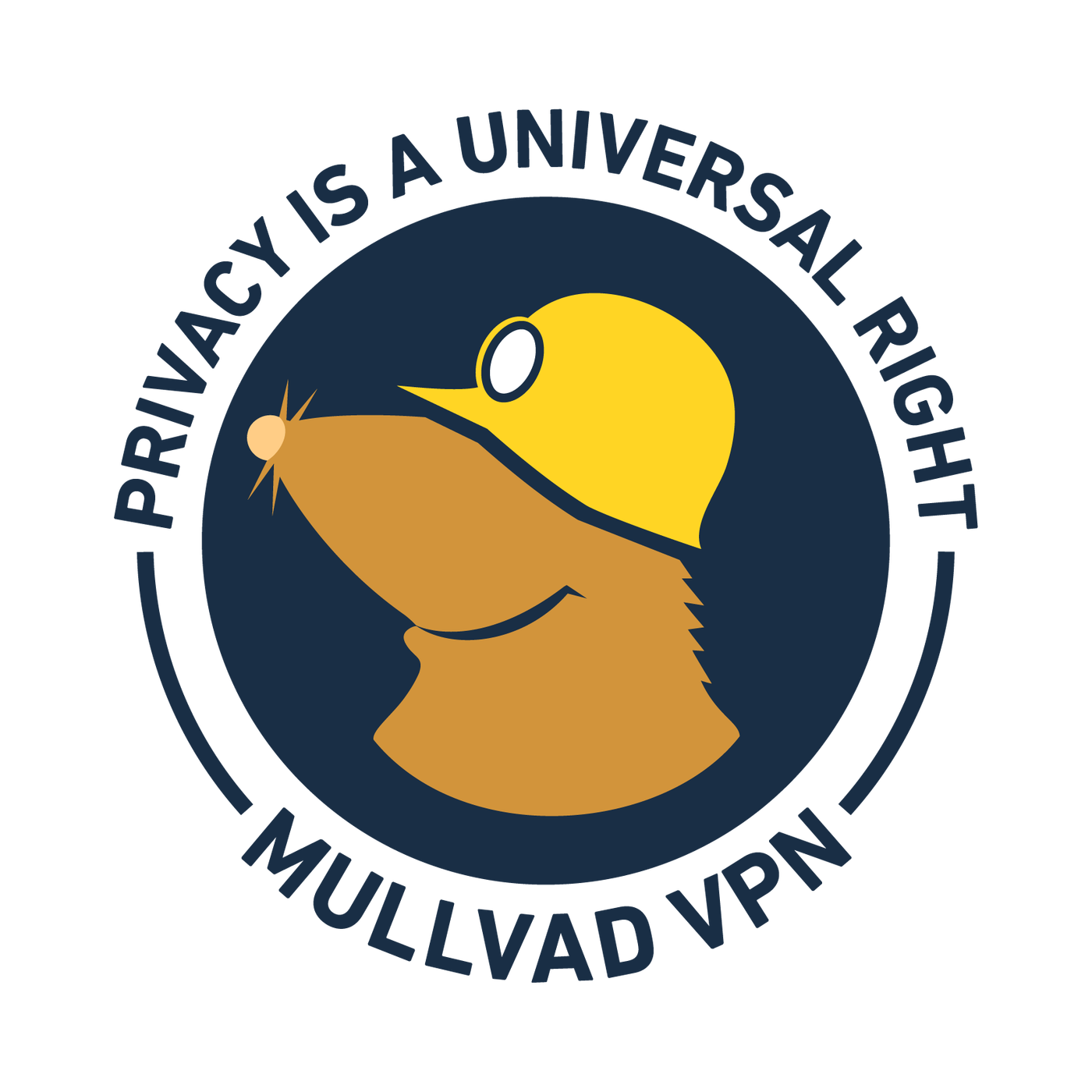 Mullvad VPN