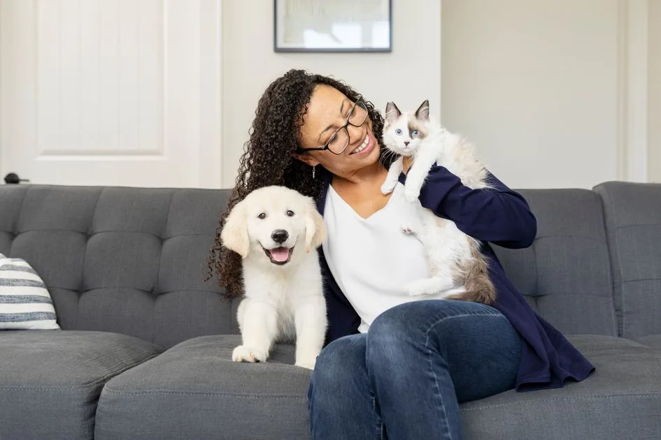 PetSafe Drinkwell 360