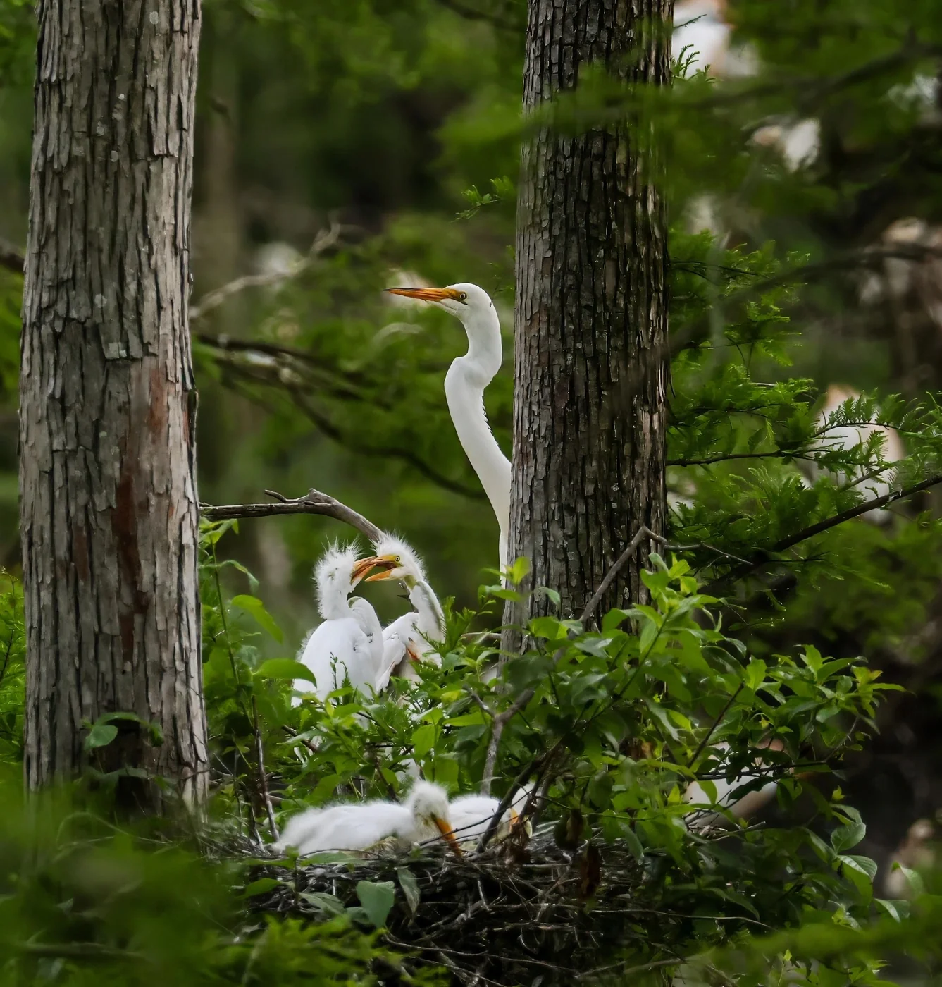 Riverbend Outfitters