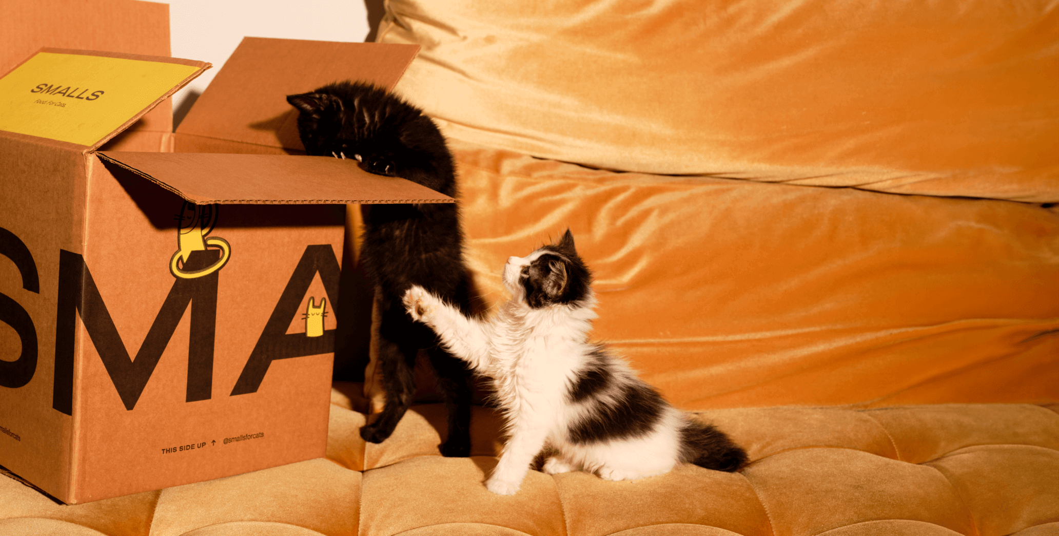 Smalls Human-Grade Fresh Cat Food