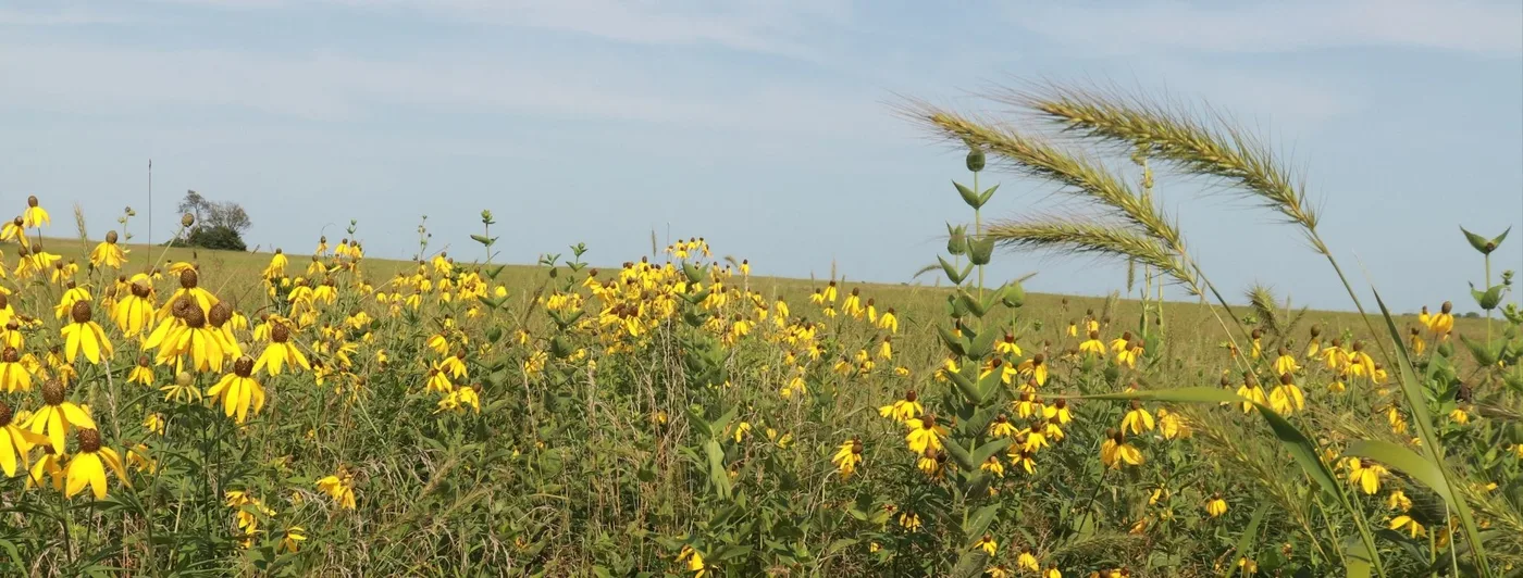 Thoh-dah Prairie