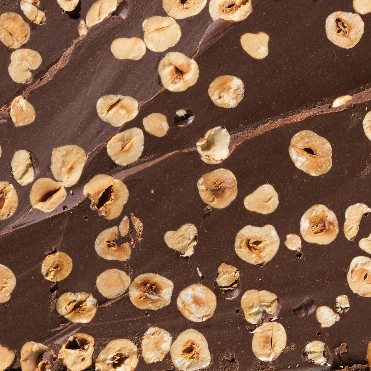 Venchi Milk Gianduia Hazelnut Chocolate Bar