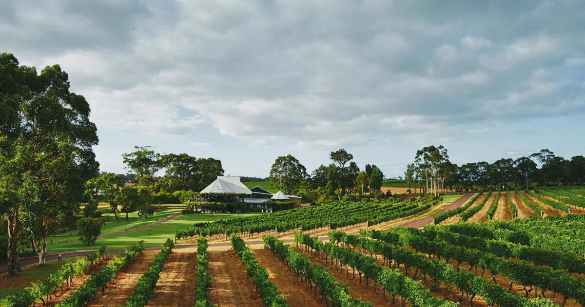Vasse Felix Cabernet Sauvignon