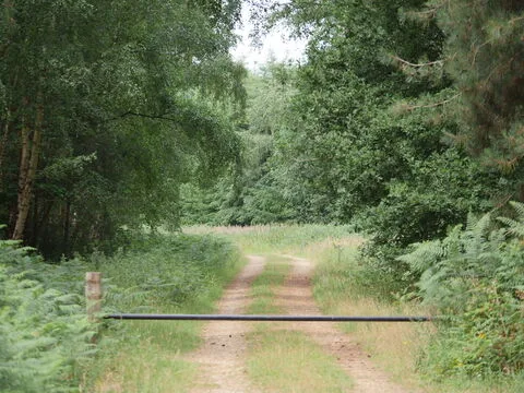 Weeting Heath