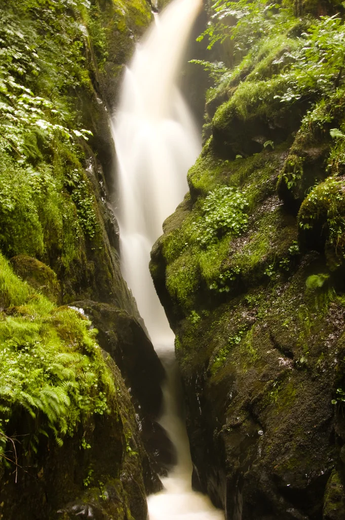 Aira Force