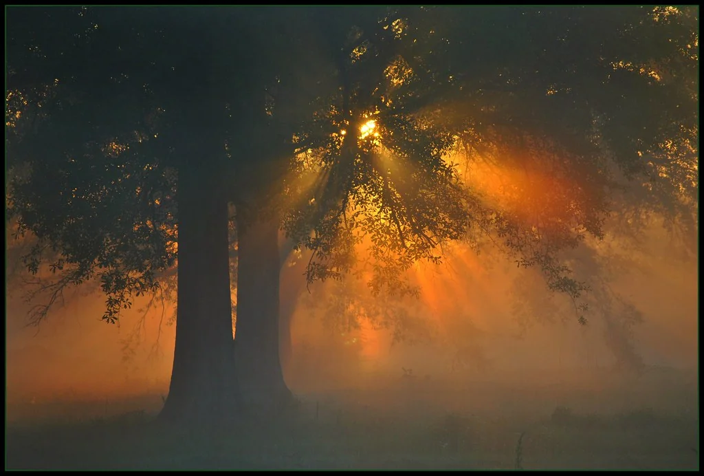 By Dawn's Early Light