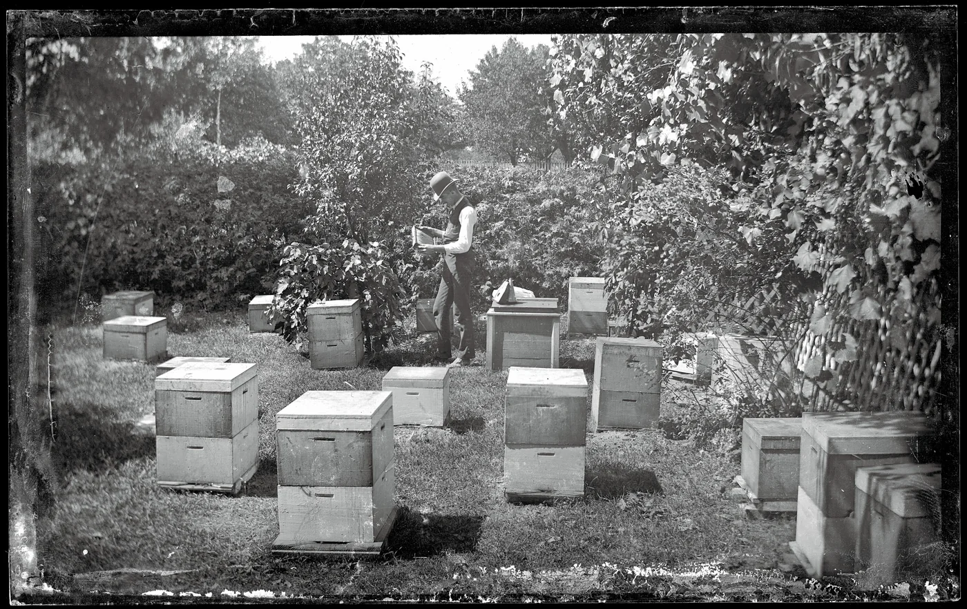 Beekeeper Studio