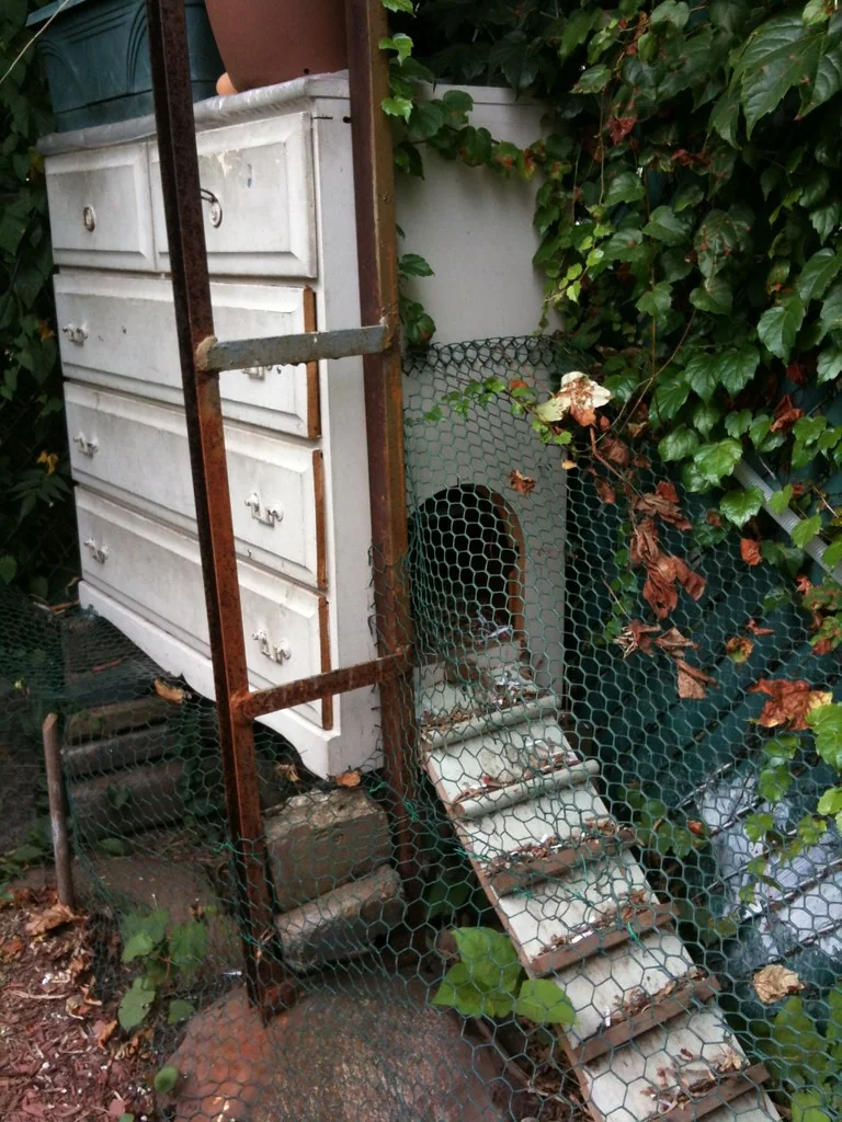 DIY Chicken Coop