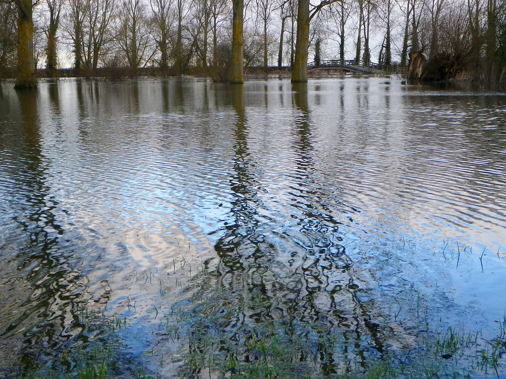 Deluge