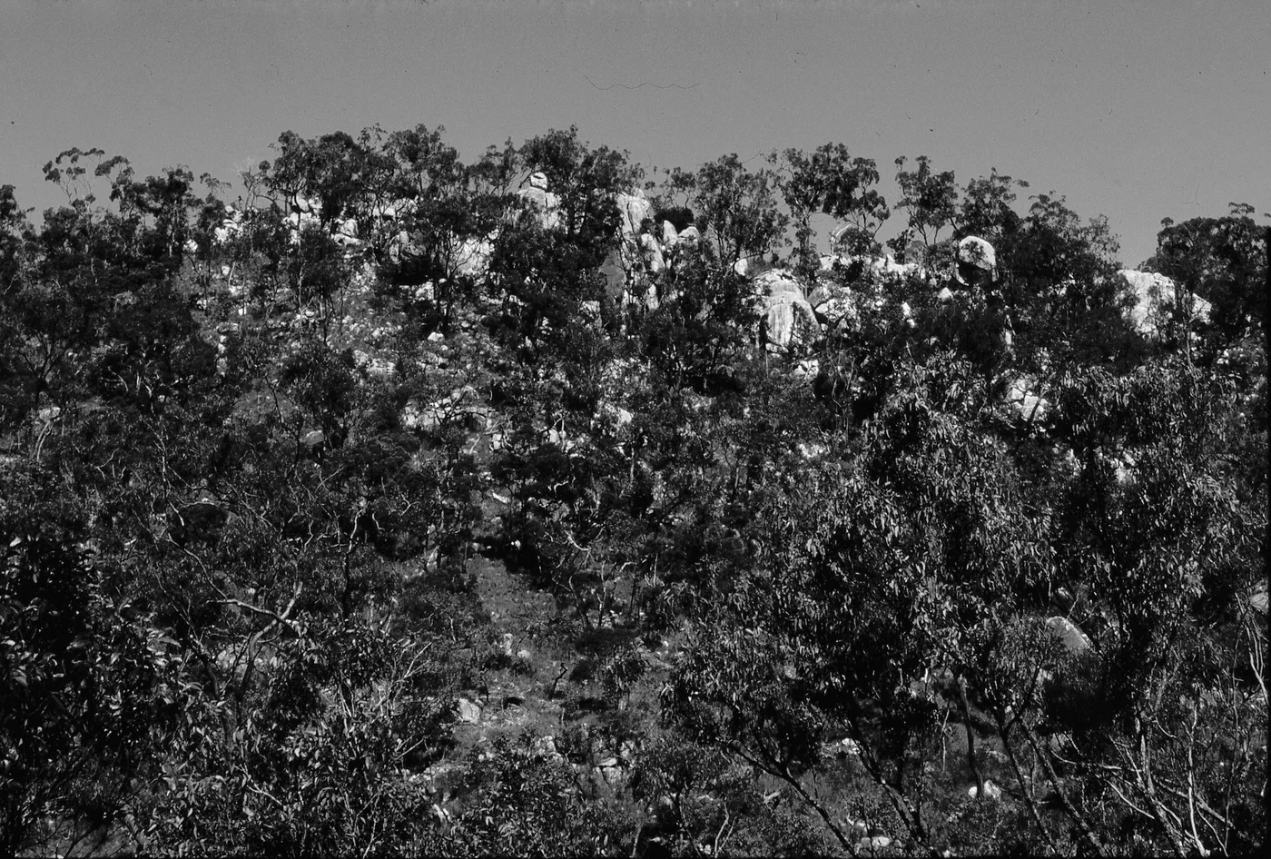 Darling Escarpment
