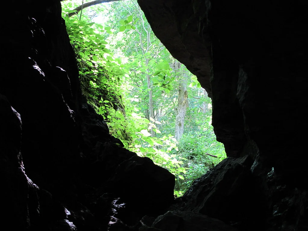 Exit to Eden