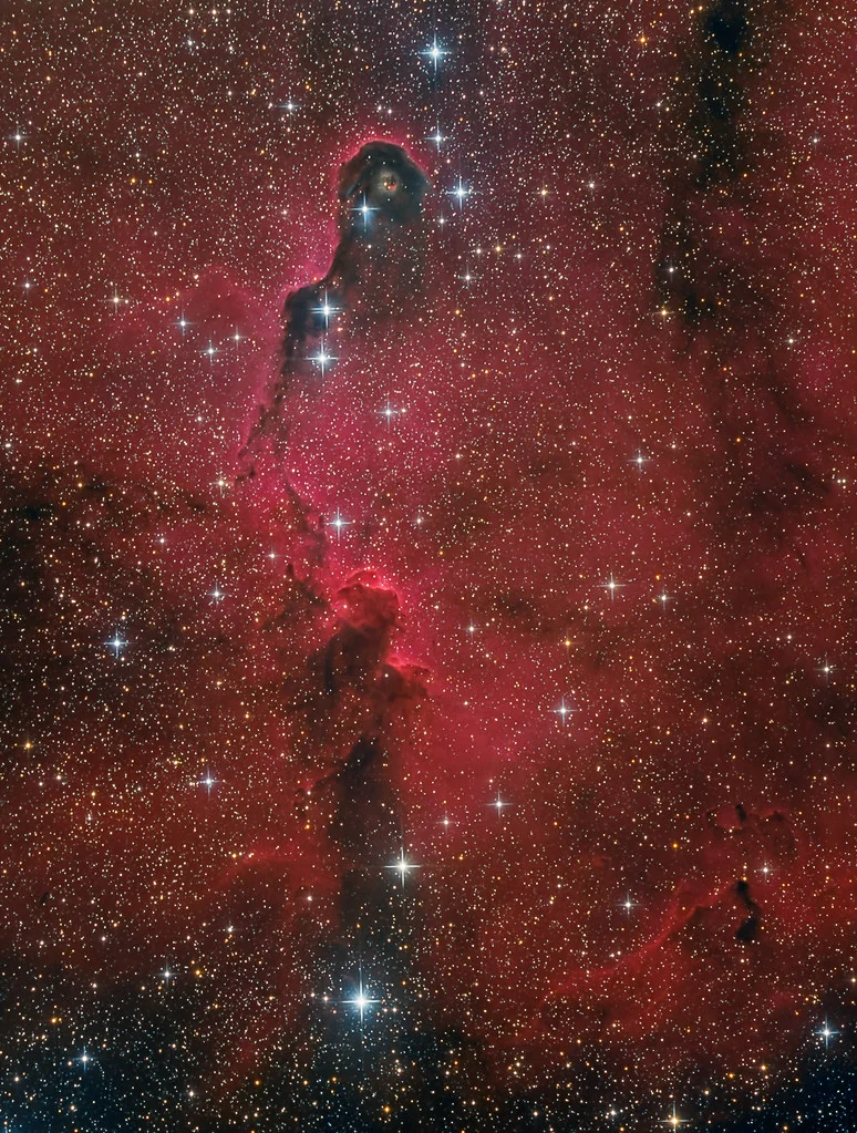Elephant's Trunk Nebula