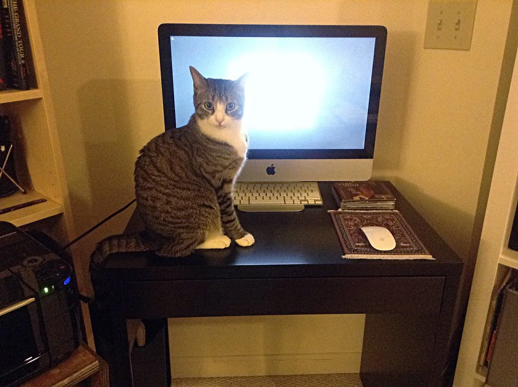 IKEA MICKE Desk