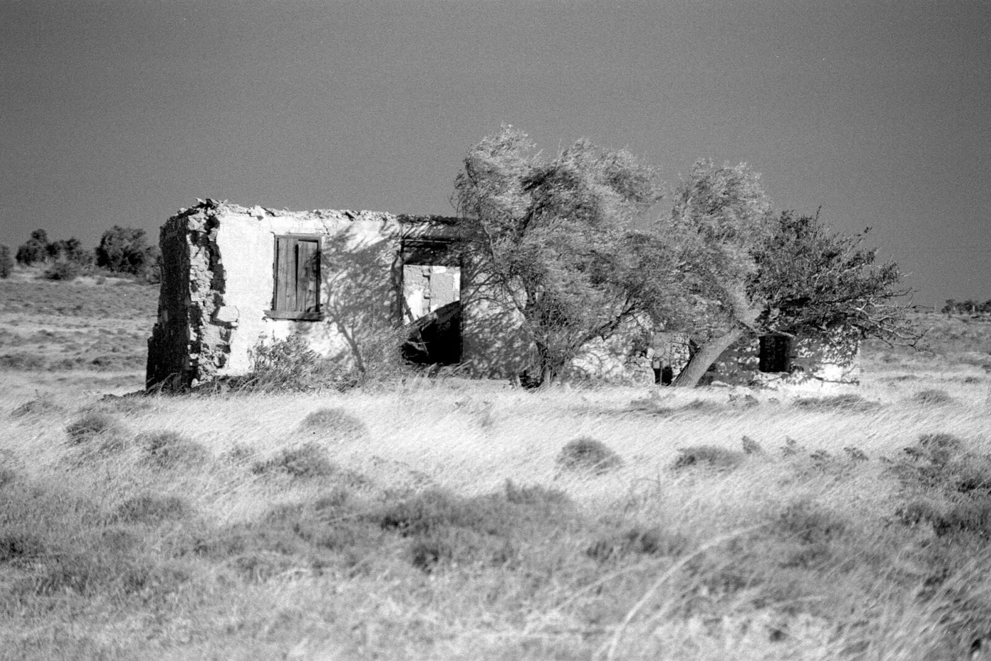 Ilford SFX 200